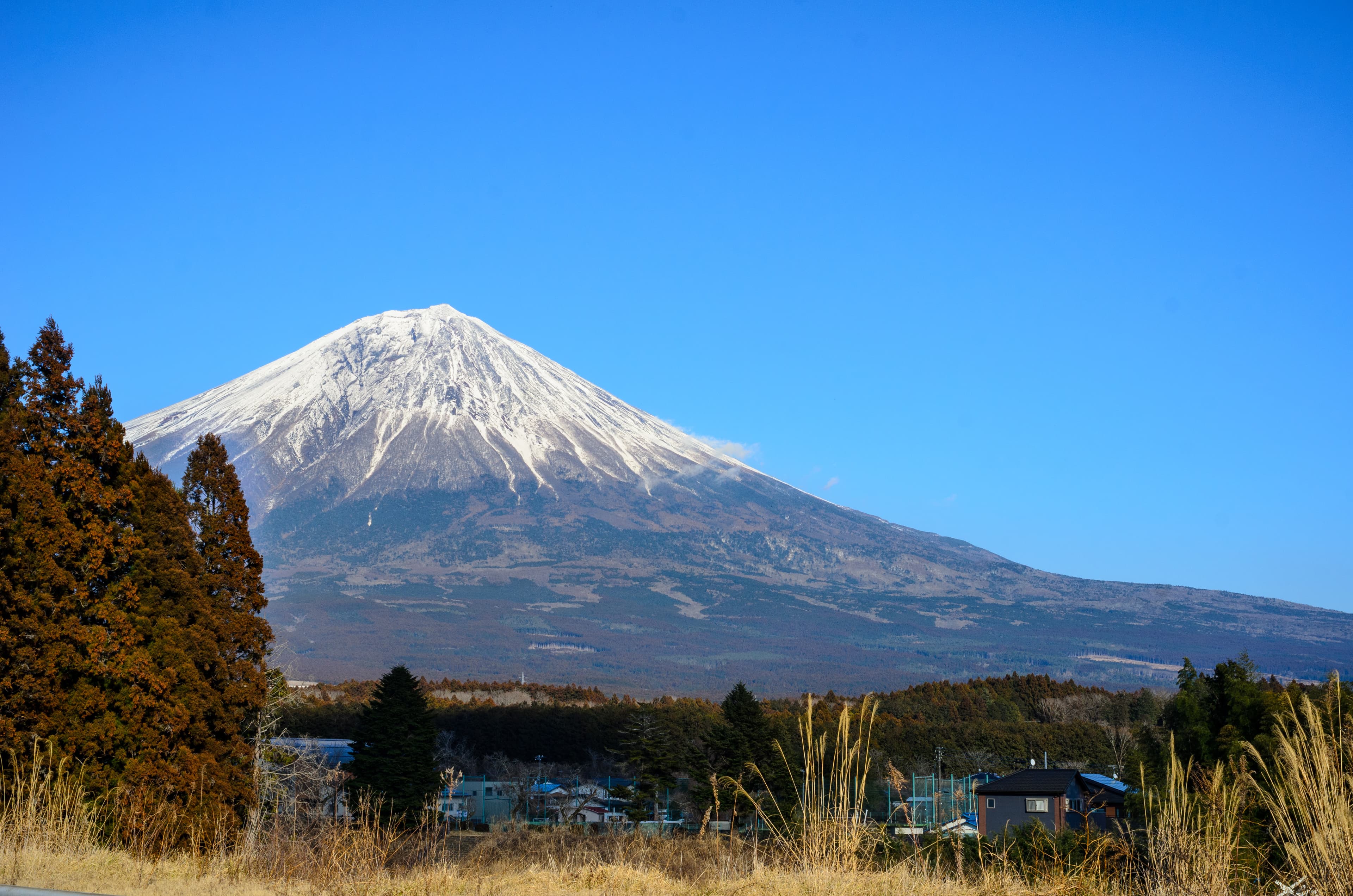 View of Mt. Fuji